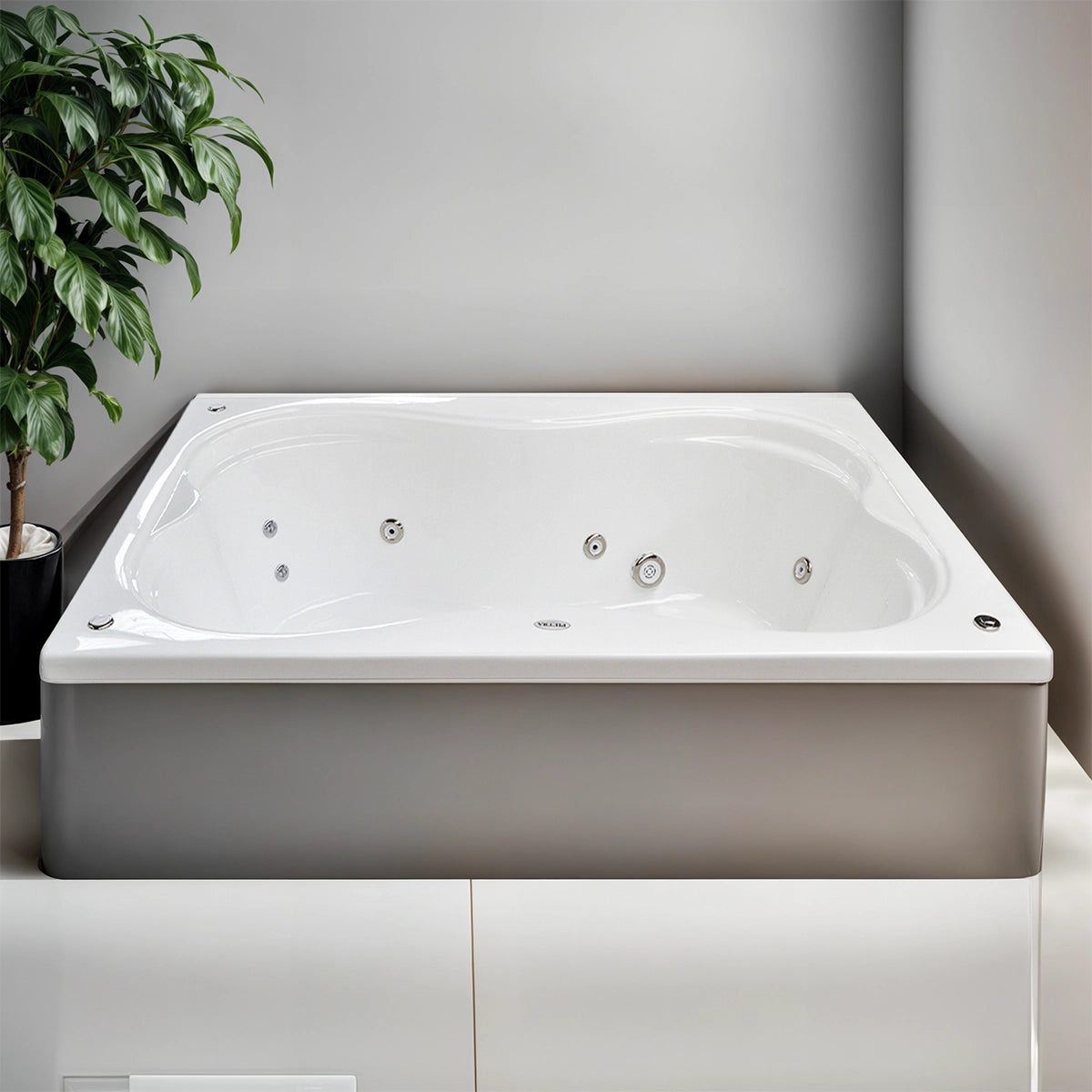 Tina Granate / Pietra